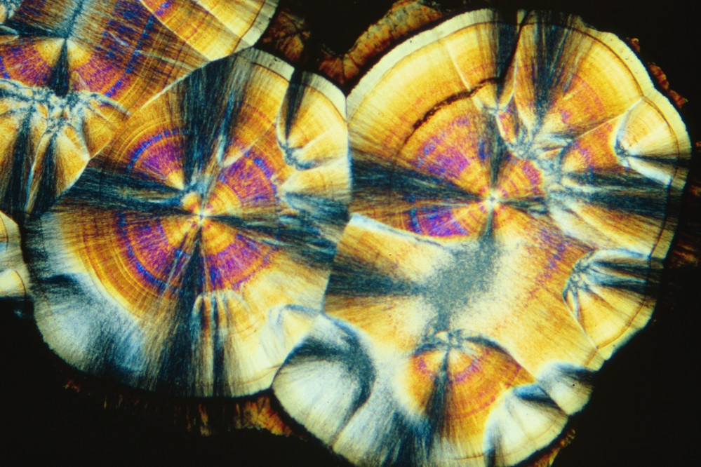 Feature image for Coming Soon: New Small Grants Programme to Unlock Innovation in Heritage Science