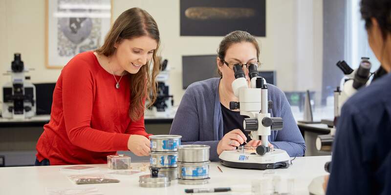 Feature image for HSDS User Needs Survey: Help Shape the Future of Heritage Science Data