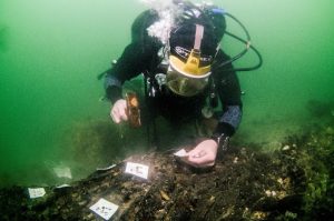 a scuba diver preparing an underwater structure for recovery